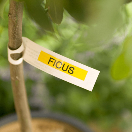 Cinta Brother TZe-621 Negro / Amarillo 9mm de ancho x 8 m de largo - Laminada Cinta Brother TZe-621 Negro / Amarillo 9mm de ancho x 8 m de largo - Laminada