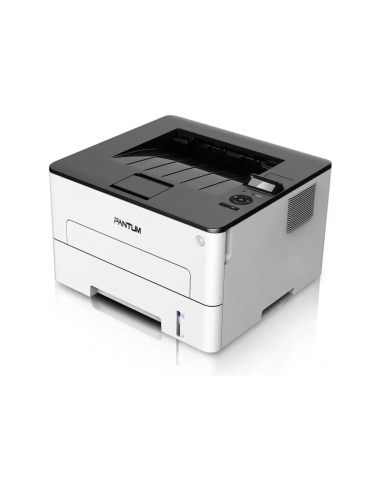 Impresora Pantum P3010DW Láser...