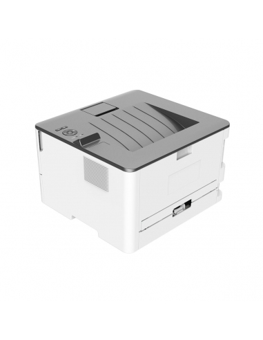 Impresora Pantum P3010DW Láser...