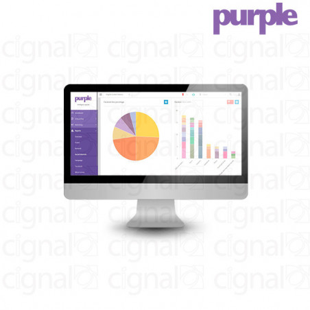 LICENCIA PURPLE EN21YAP ENHANCED STANDARD 1 AÑO