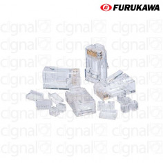 Conector Macho Furukawa RJ45 CAT 6 Multilan x 50 Unidades 2