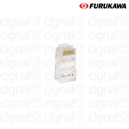 Conector Macho Furukawa RJ45 CAT 6 Multilan x 50 Unidades