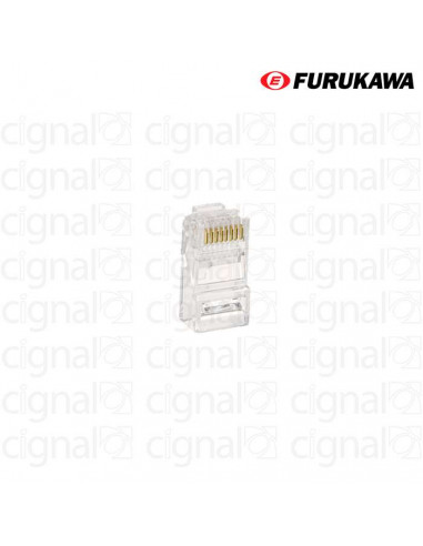Conector Macho Furukawa RJ45 CAT 6 Multilan x 50 Unidades
